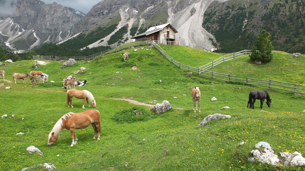 Garni Le Chalet Santa Cristina Val Gardena Ngoại thất bức ảnh