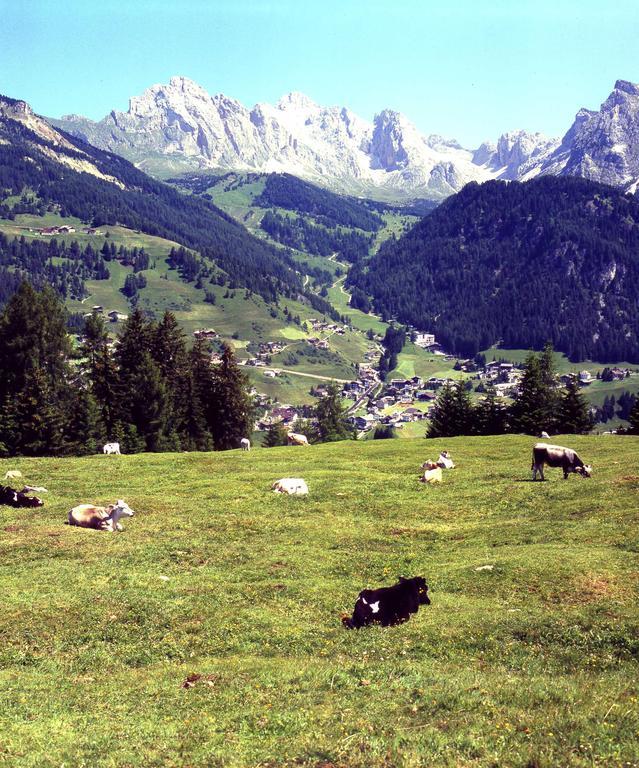 Garni Le Chalet Santa Cristina Val Gardena Ngoại thất bức ảnh