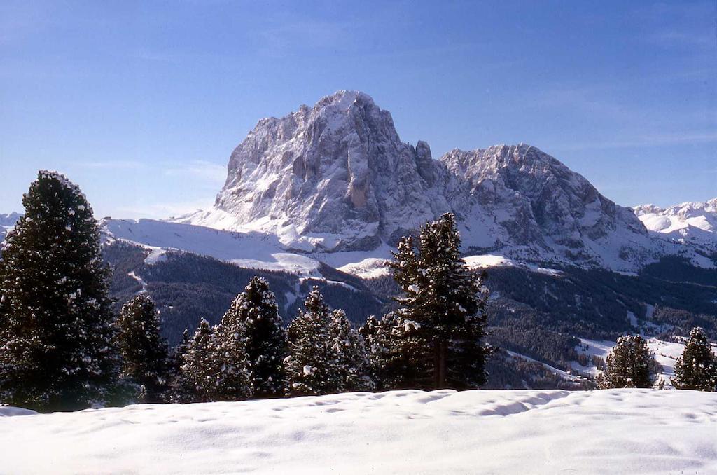 Garni Le Chalet Santa Cristina Val Gardena Ngoại thất bức ảnh