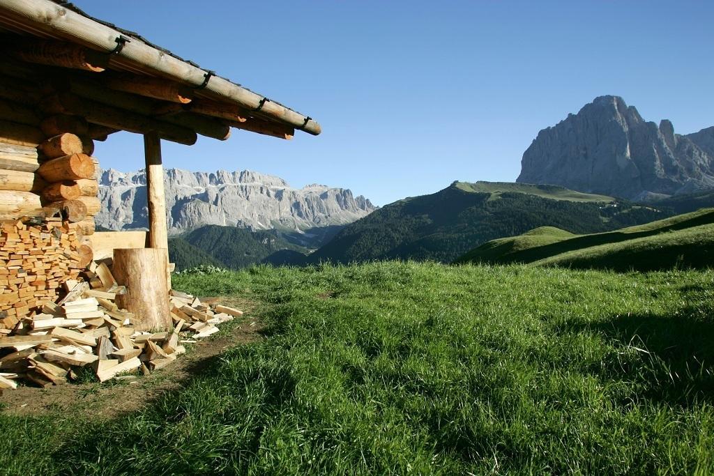 Garni Le Chalet Santa Cristina Val Gardena Ngoại thất bức ảnh
